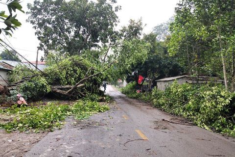 Nậm Nhùn, Phong Thổ: Khẩn trương khắc phục hậu quả của mưa đá, gió lốc