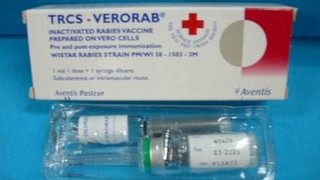 Hỏi đáp liên quan tới vắc xin phòng bệnh dại (VERORAB/FAVIRAB)